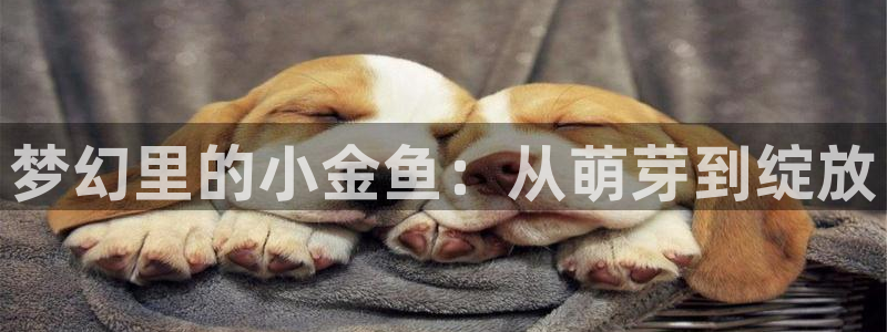 香蕉漫画推荐：梦幻里的小金鱼：从萌芽到绽放