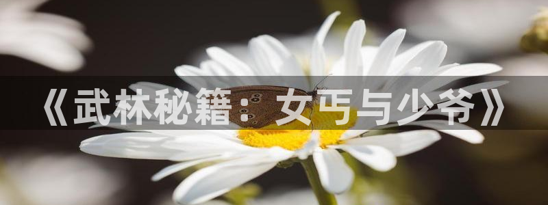 香蕉漫画小说下拉式：《武林秘籍：女丐与少爷》